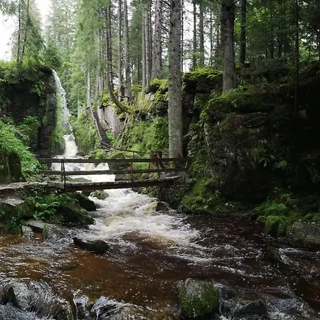 C3 Albmatte-fewo Sauna, Hallenbad Aussenbecken Massagen Nebenan St. Blasien