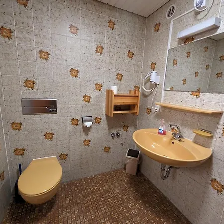 C3 Albmatte-fewo Sauna, Hallenbad Aussenbecken Massagen Nebenan