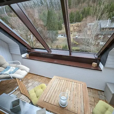 C3 Albmatte-fewo Sauna, Hallenbad Aussenbecken Massagen Nebenan Apartamento St. Blasien