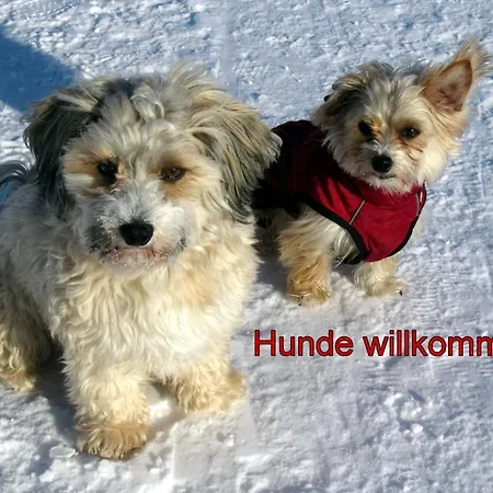 Apartamento C3 Albmatte-fewo Sauna, Hallenbad Aussenbecken Massagen Nebenan *