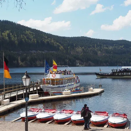 C3 Albmatte-fewo Sauna, Hallenbad Aussenbecken Massagen Nebenan Apartamento St. Blasien