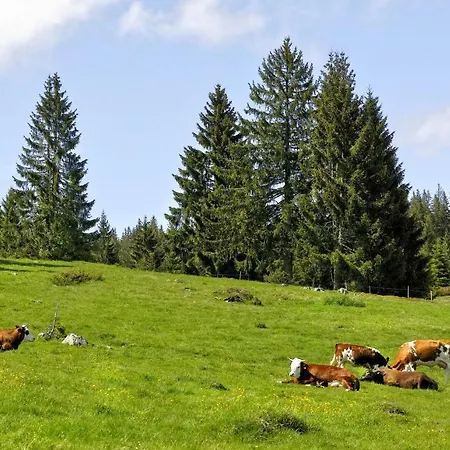 C3 Albmatte-fewo Sauna, Hallenbad Aussenbecken Massagen Nebenan