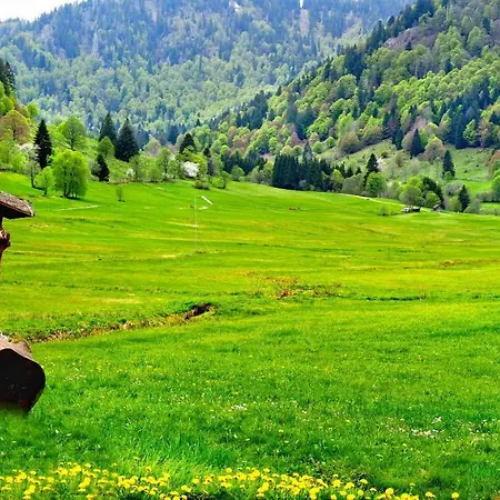 C3 Albmatte-fewo Sauna, Hallenbad Aussenbecken Massagen Nebenan Apartamento *