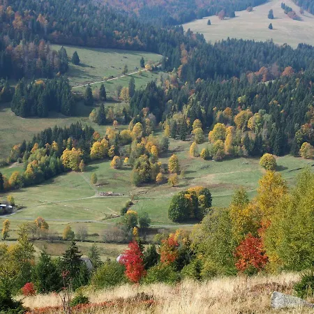 Διαμέρισμα C3 Albmatte-fewo Sauna, Hallenbad Aussenbecken Massagen Nebenan