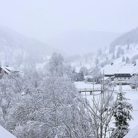 C3 Albmatte-fewo Sauna, Hallenbad Aussenbecken Massagen Nebenan * Санкт-Блазиен