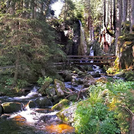 C3 Albmatte-fewo Sauna, Hallenbad Aussenbecken Massagen Nebenan