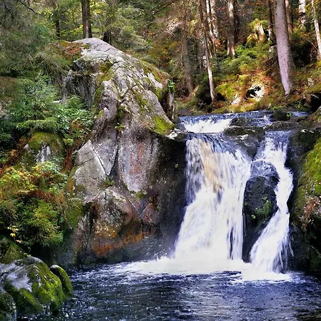 Διαμέρισμα C3 Albmatte-fewo Sauna, Hallenbad Aussenbecken Massagen Nebenan St. Blasien