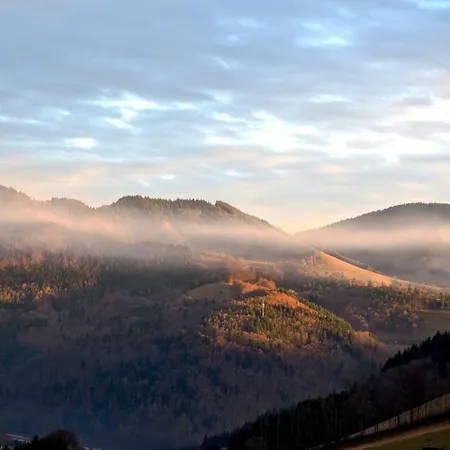 C3 Albmatte-fewo Sauna, Hallenbad Aussenbecken Massagen Nebenan * St. Blasien