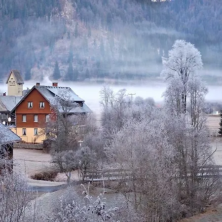 C3 Albmatte-fewo Sauna, Hallenbad Aussenbecken Massagen Nebenan *