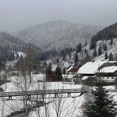 Apartamento C3 Albmatte-fewo Sauna, Hallenbad Aussenbecken Massagen Nebenan *