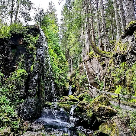Апартаменты C3 Albmatte-fewo Sauna, Hallenbad Aussenbecken Massagen Nebenan *