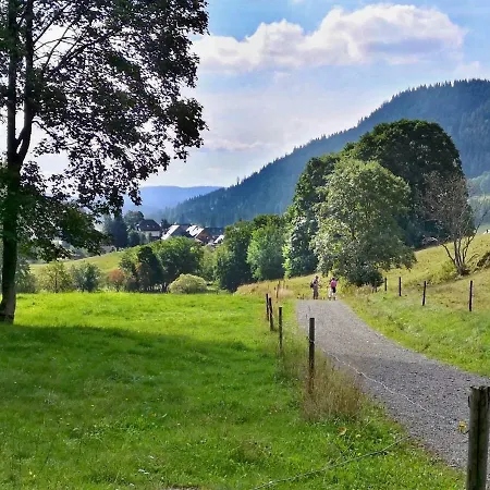 C3 Albmatte-fewo Sauna, Hallenbad Aussenbecken Massagen Nebenan * St. Blasien