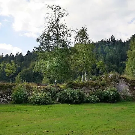 C3 Albmatte-fewo Sauna, Hallenbad Aussenbecken Massagen Nebenan