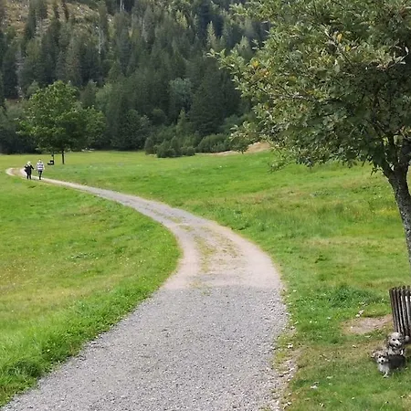 C3 Albmatte-fewo Sauna, Hallenbad Aussenbecken Massagen Nebenan Apartamento St. Blasien