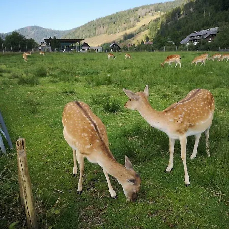 C3 Albmatte-fewo Sauna, Hallenbad Aussenbecken Massagen Nebenan