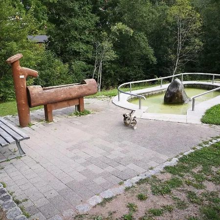 C3 Albmatte-fewo Sauna, Hallenbad Aussenbecken Massagen Nebenan St. Blasien