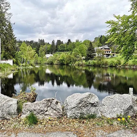 C3 Albmatte-fewo Sauna, Hallenbad Aussenbecken Massagen Nebenan Διαμέρισμα St. Blasien