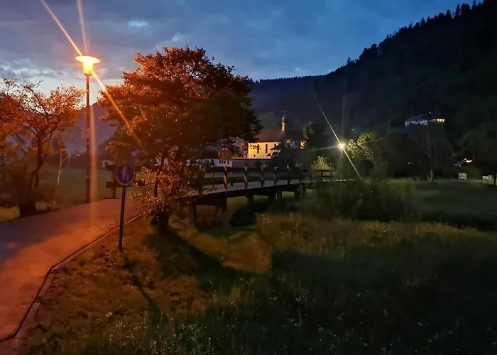 C3 Albmatte-fewo Sauna, Hallenbad Aussenbecken Massagen Nebenan * St. Blasien