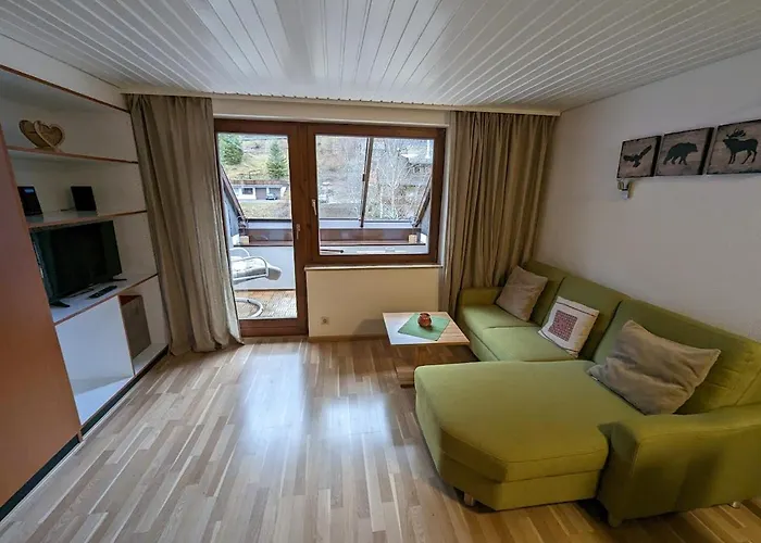 Apartament C3 Albmatte-fewo Sauna, Hallenbad Aussenbecken Massagen Nebenan *