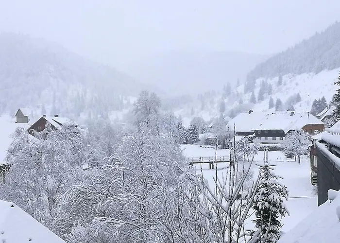 C3 Albmatte-fewo Sauna, Hallenbad Aussenbecken Massagen Nebenan * St. Blasien