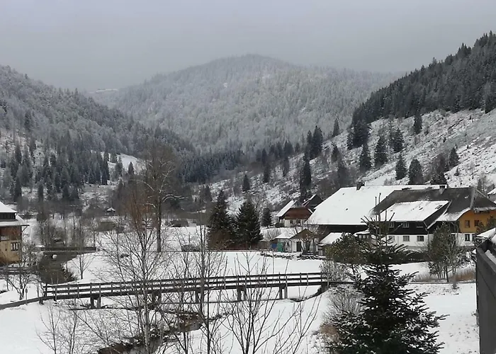 Apartament C3 Albmatte-fewo Sauna, Hallenbad Aussenbecken Massagen Nebenan *